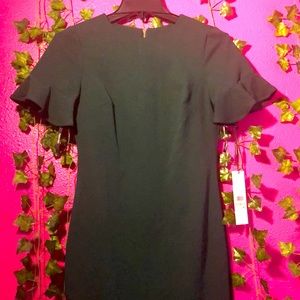 Calvin Klein Women's Short Sleeve Elegant Pencil Dress